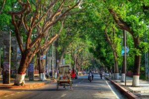 City road brings diversified fortunes to commoners in Rajshahi 