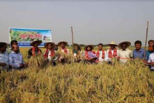 Promoting synchronised cultivation tech to boost output stressed