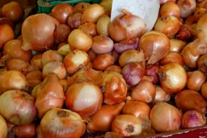 Govt plans to import onion from India soon, Dr Razzaque