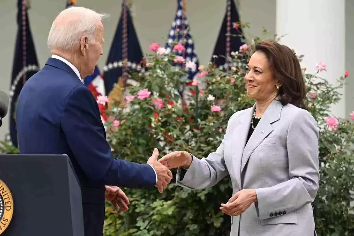 Kamala Harris tasked with new role fighting US gun violence