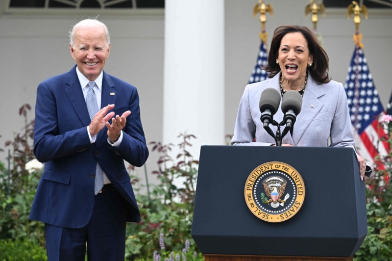 Kamala Harris tasked with new role fighting US gun violence